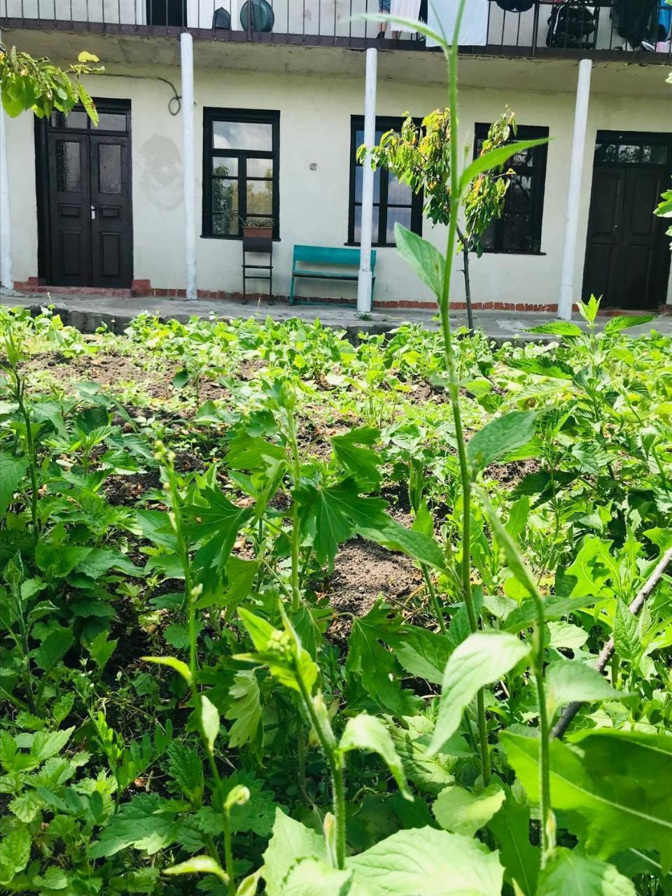 Dzoragyugh B&B Zewnętrze zdjęcie