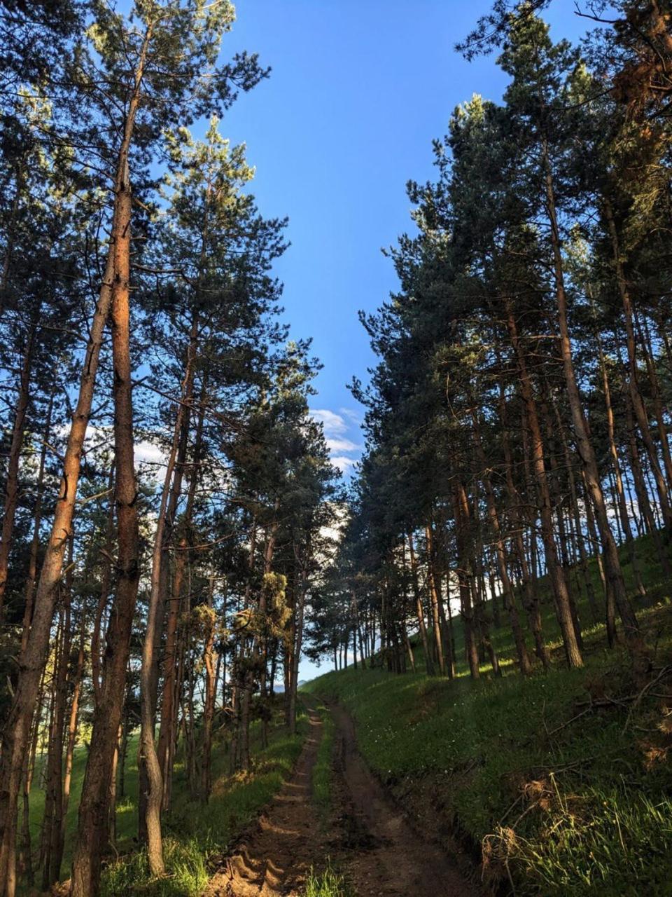 Dzoragyugh B&B Zewnętrze zdjęcie