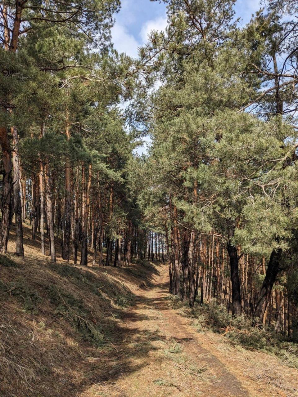 Dzoragyugh B&B Zewnętrze zdjęcie